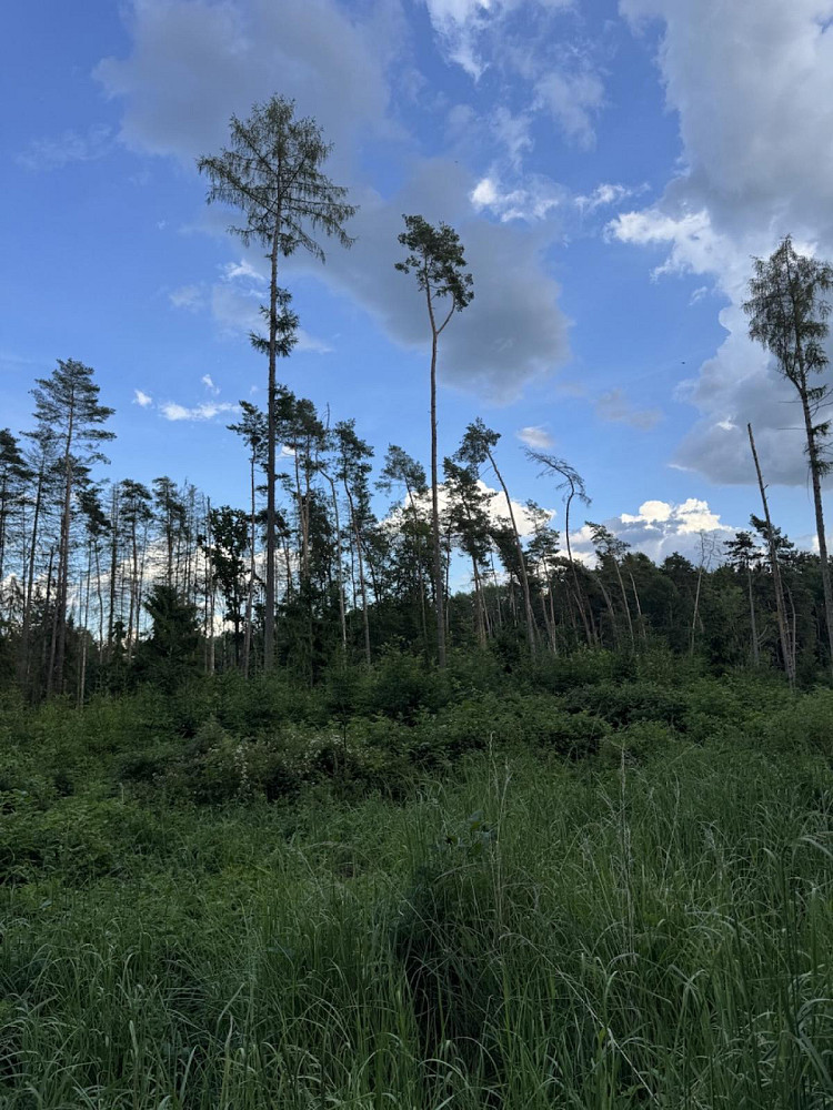 Fotka 6 z 30