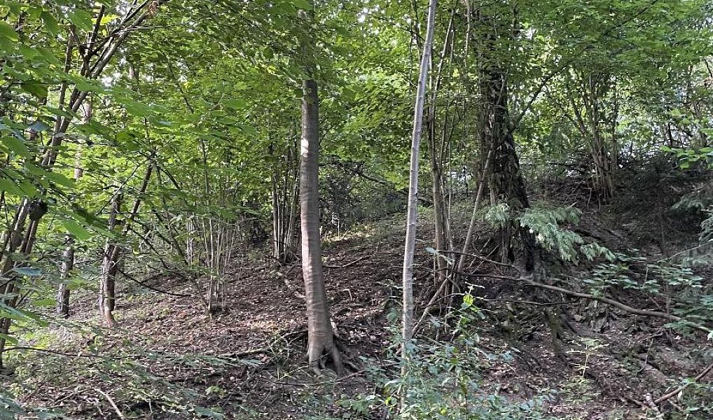 Prodej pozemku 50 152 m², Útěchov – náhled fotky 3