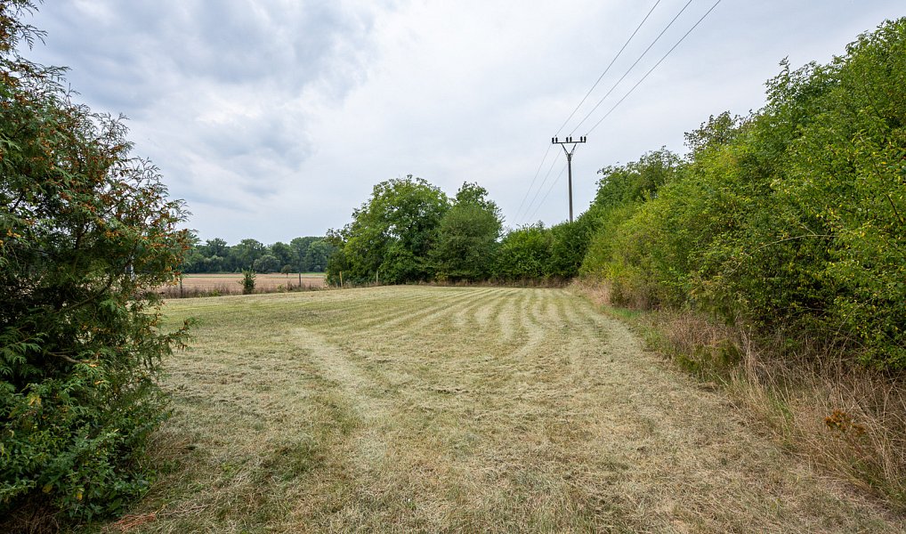 Prodej ubytovacího objektu 852 m², Chroustovice – náhled fotky 19