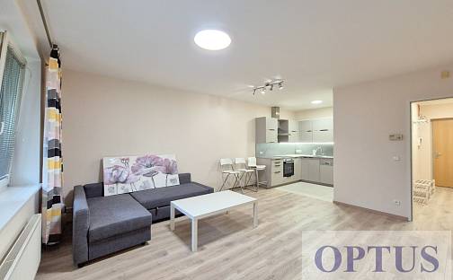 Pronájem bytu 2+kk 63 m², U Zvonařky, Praha 2 - Vinohrady