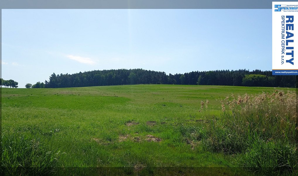 Prodej louky 66 896 m², Cehnice – náhled fotky 3