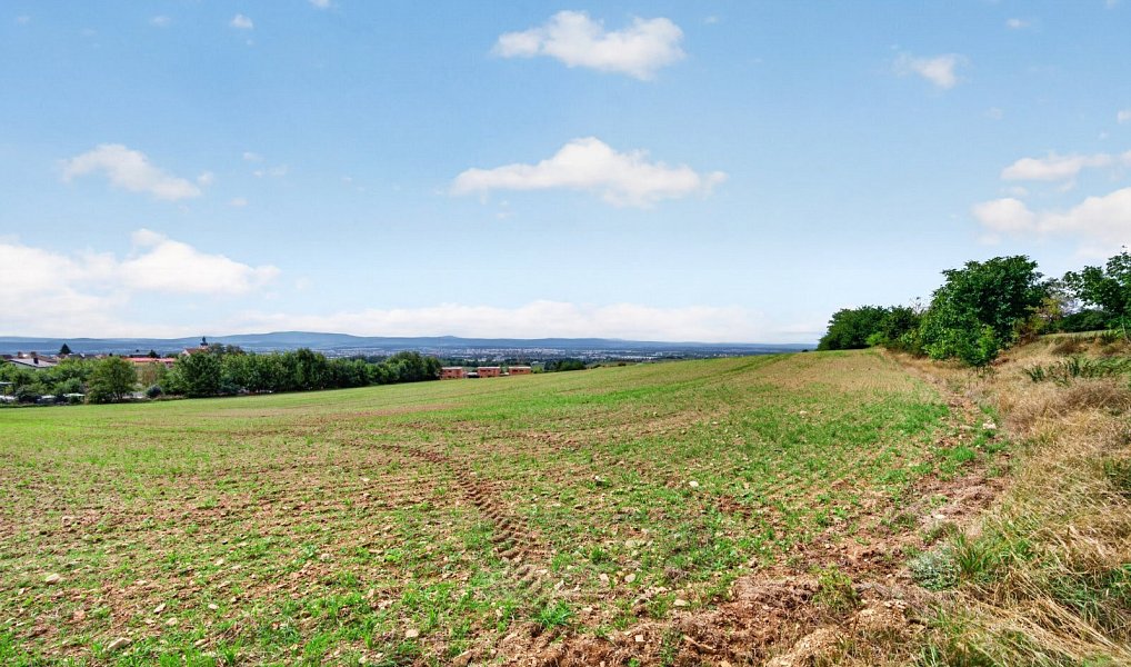 Prodej stavebního pozemku 6 520 m², Rudolfov – náhled fotky 2