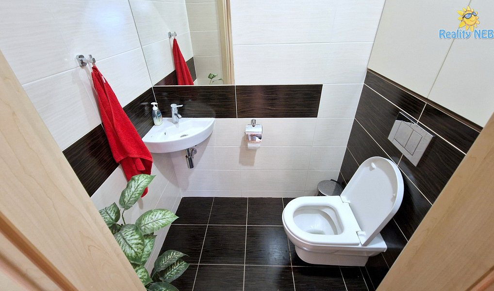 Prodej bytu 4+kk 446 m², Brno – náhled fotky 16