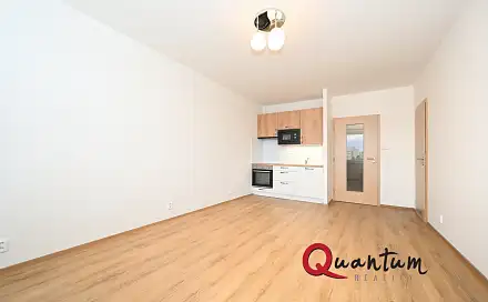 Pronájem bytu 1+kk 29 m²