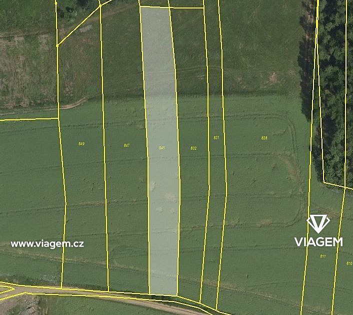 Prodej pole 2 628 m²