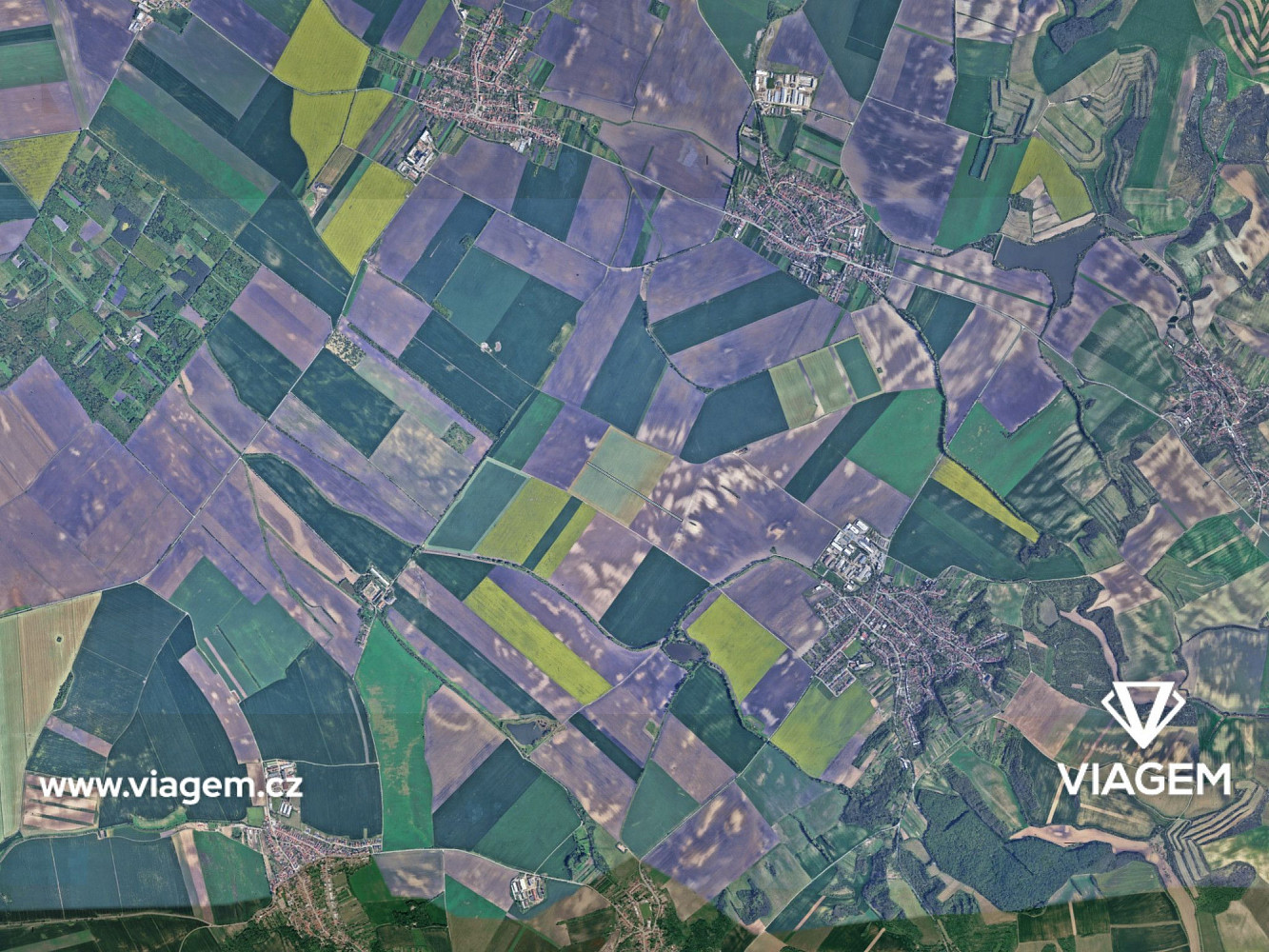 Prodej pole 1 052 m² – fotografie 3