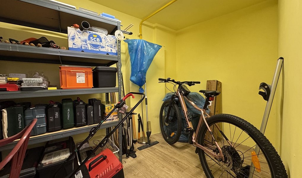 Prodej domu 114 m² s pozemkem 338 m², Náměšť na Hané – náhled fotky 48