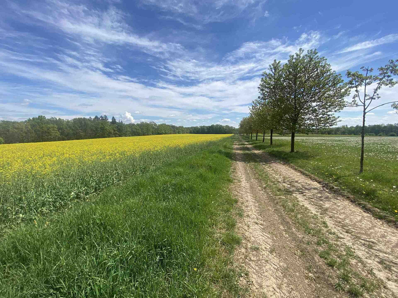Prodej pozemku 4 000 m² – pohled 3