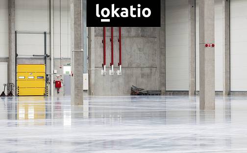 Pronájem skladovacích prostor 20 000 m², Hladké Životice, okres Nový Jičín
