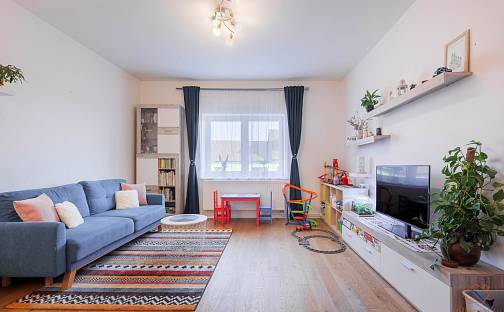 Prodej domu 221 m² s pozemkem 1 040 m², Brněnská, Vyškov - Nouzka