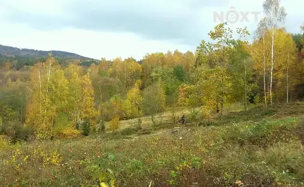 Prodej pozemku 625 m², Líšný, okres Jablonec nad Nisou