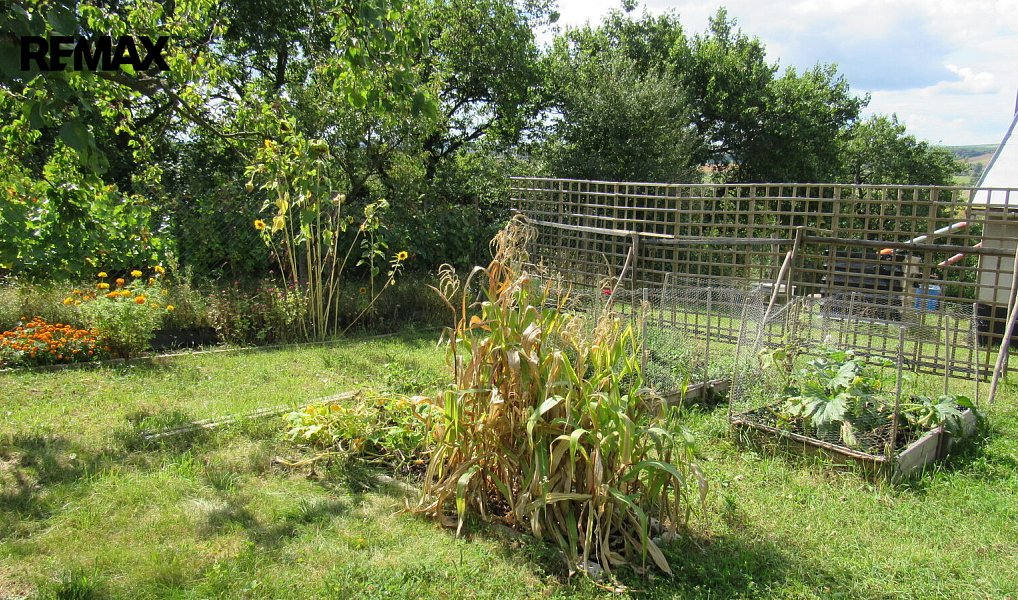 Prodej chaty/chalupy 20 m² s pozemkem 1 684 m², Kyjov – náhled fotky 18