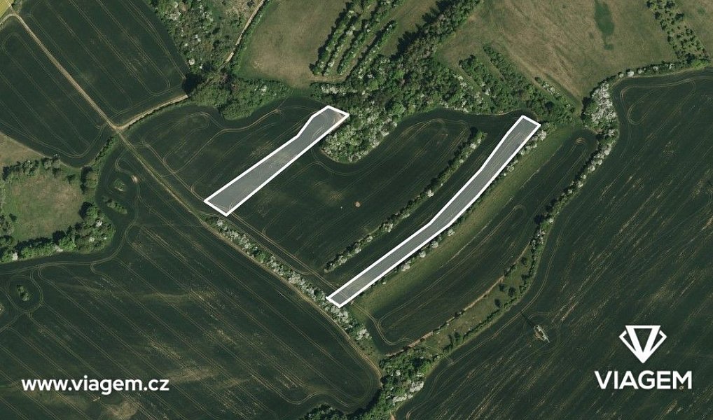 Prodej pole 822 m², Zdounky – náhled fotky 2