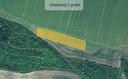 Prodej pole 5 755 m², Chožov - Třtěno, okres Louny