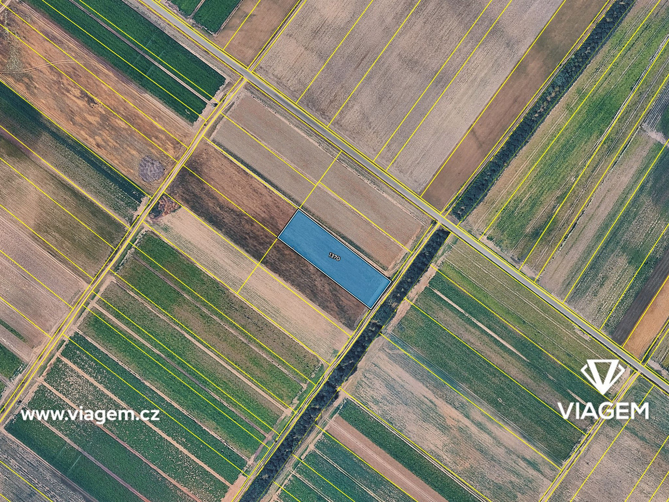 Prodej pole 3 858 m² – fotografie 4