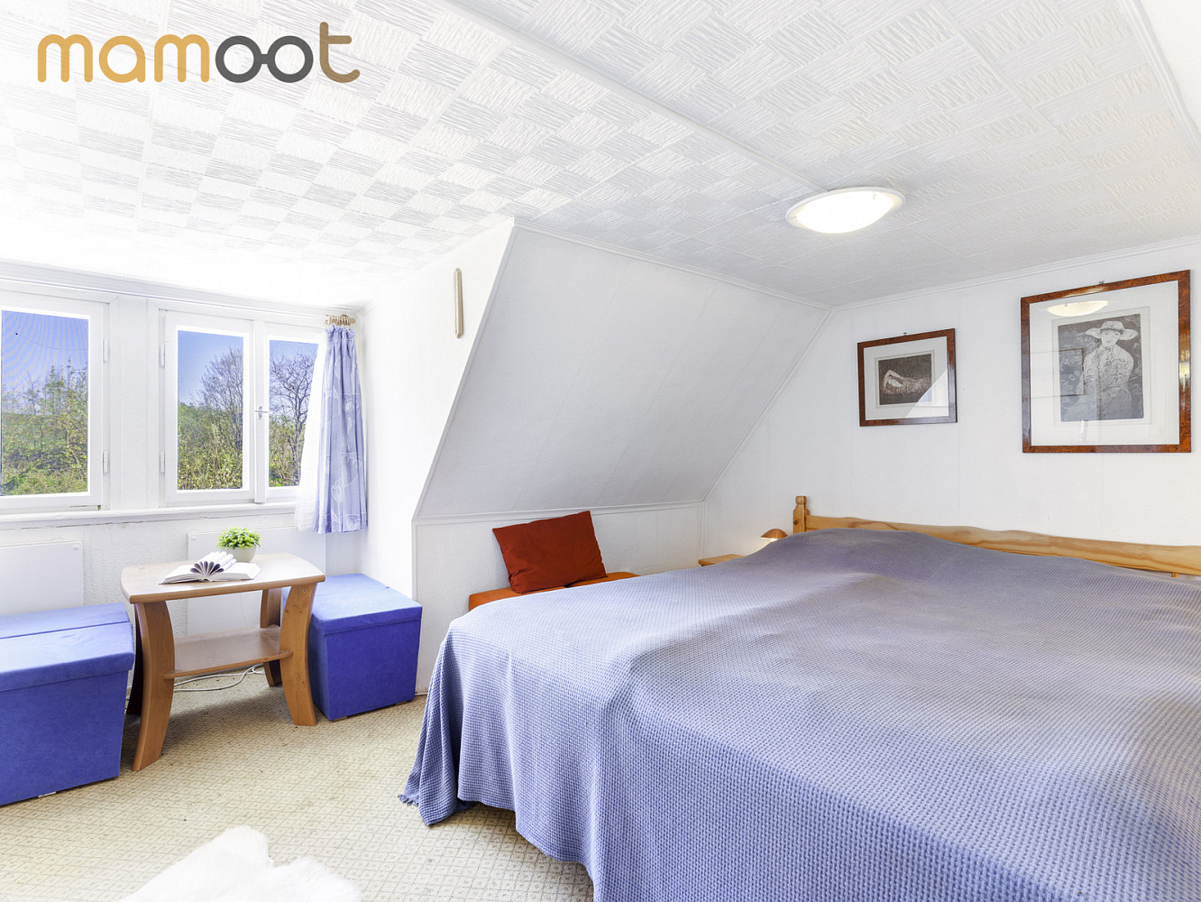 Prodej chaty/chalupy 56 m² s pozemkem 487 m² – fotografie 5