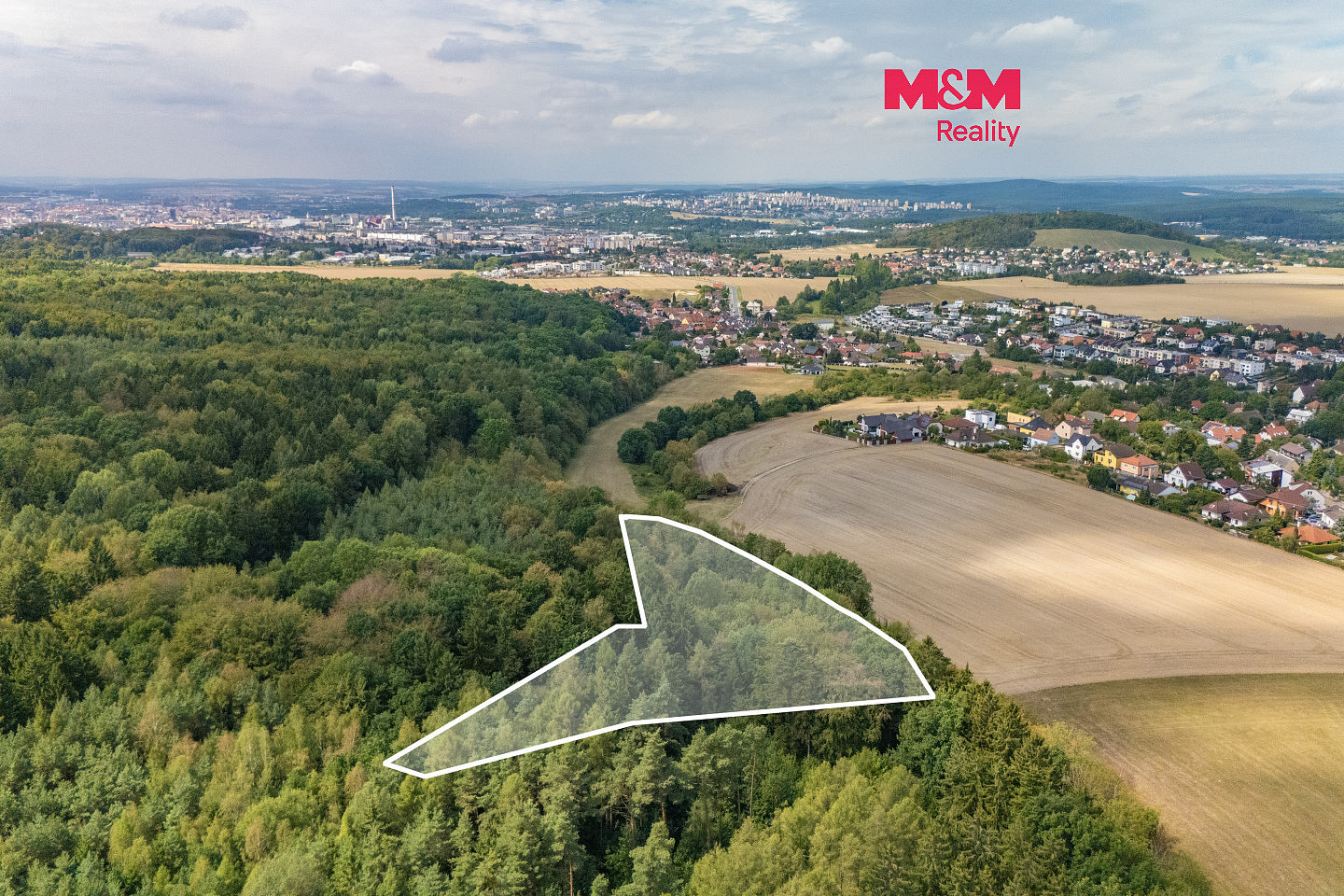 Prodej lesa 6 522 m²