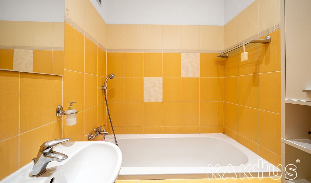 Pronájem bytu 2+1 53 m², Ostrava – náhled fotky 9