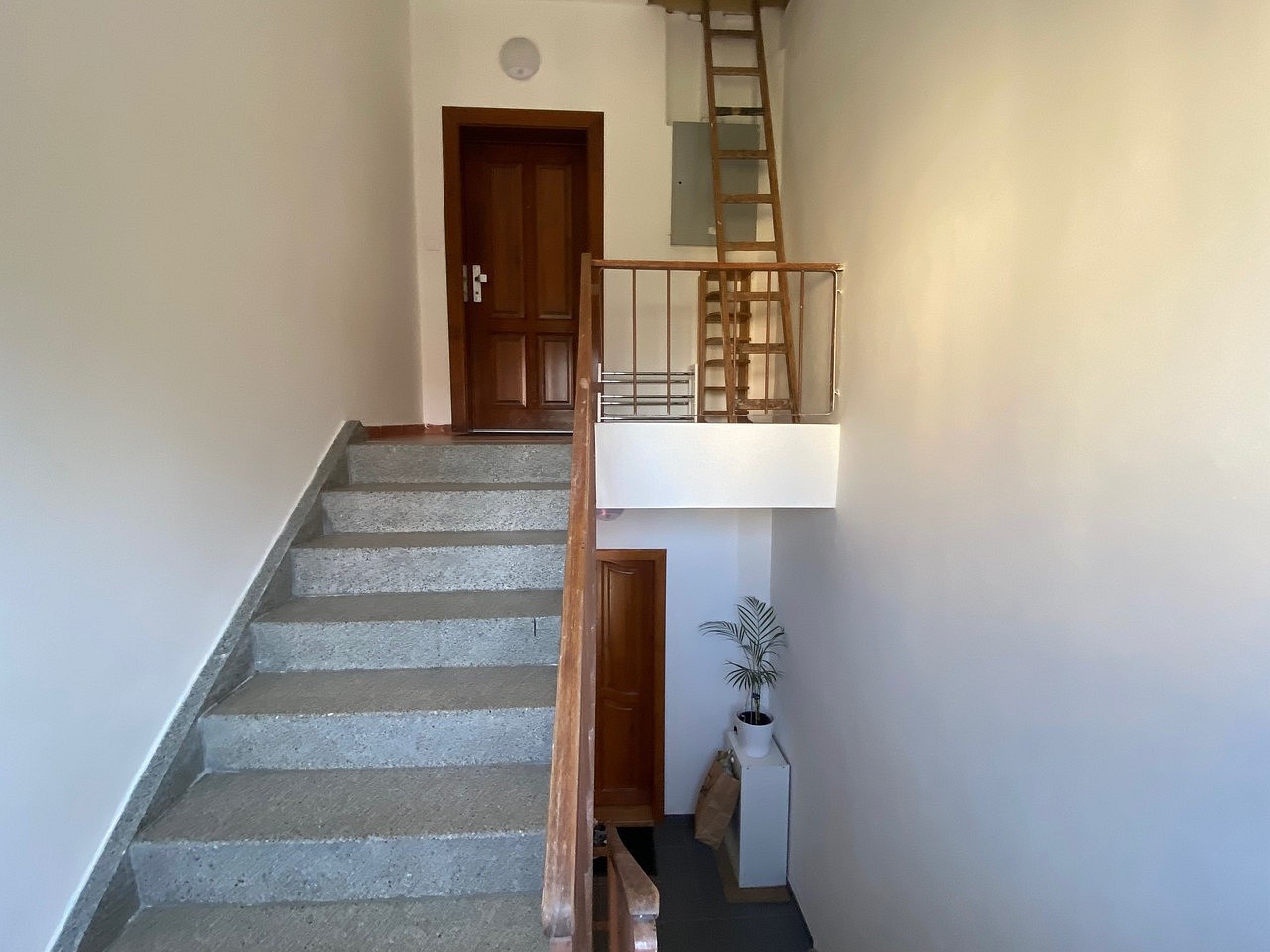 Pronájem bytu 2+1 62 m² — photo 2