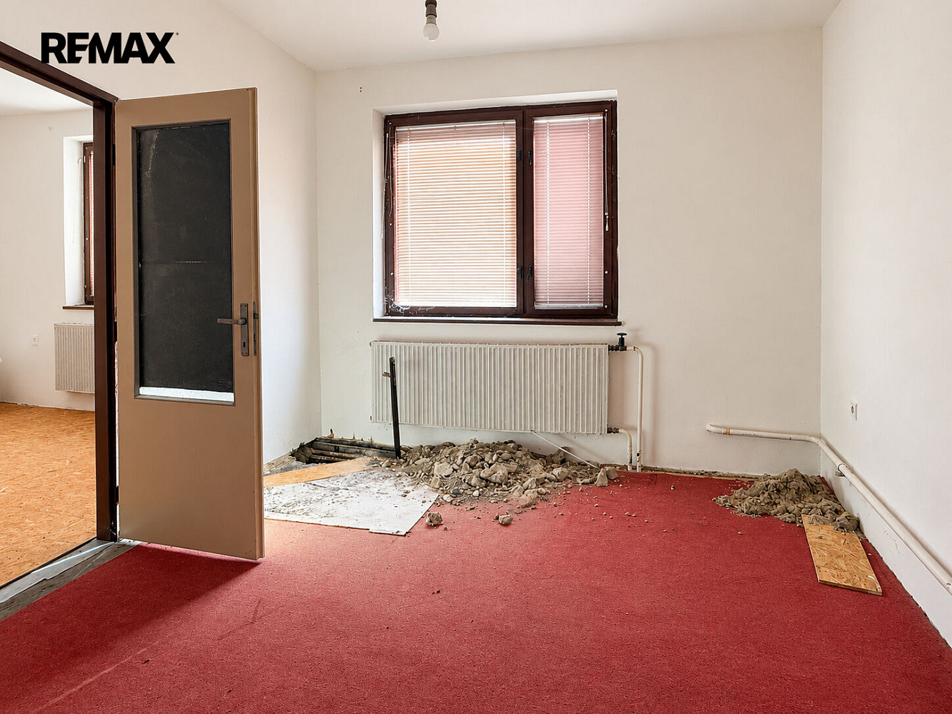 Fotka 8 z 11