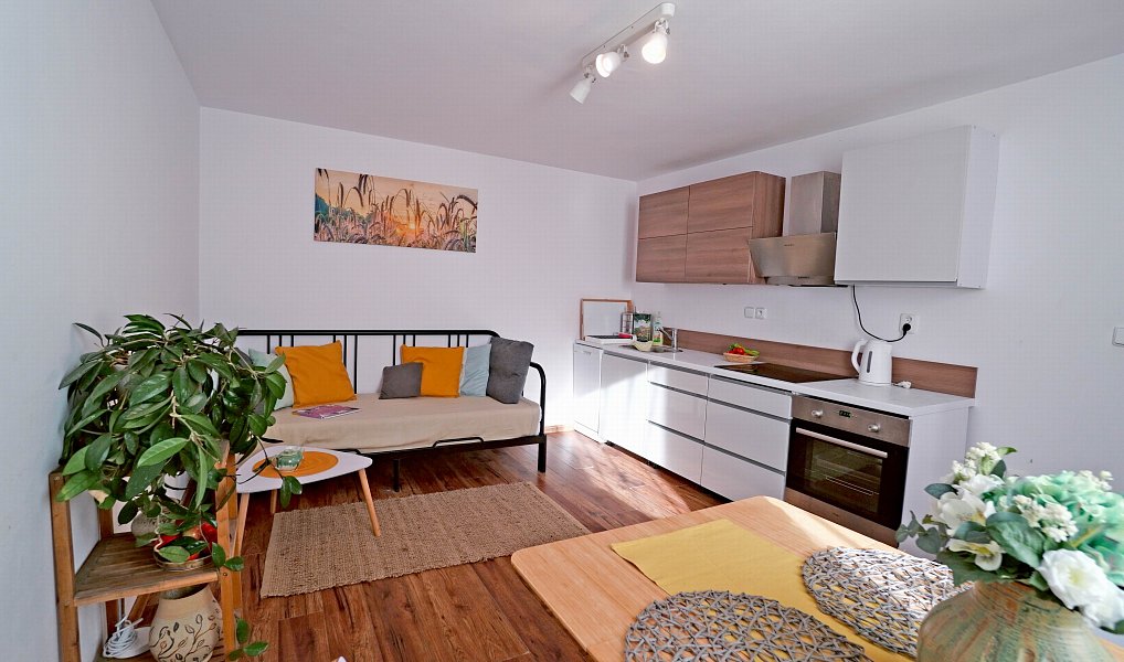Prodej komerčního objektu (jiného typu) 52 m², Lednice – fotka 1 z 12