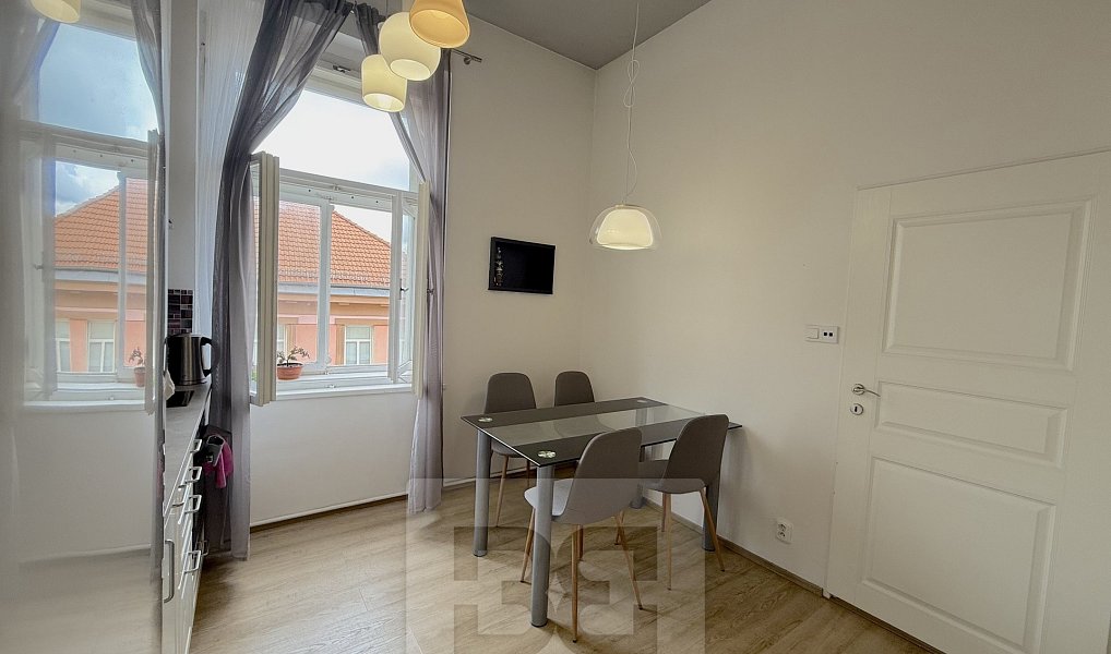 Pronájem bytu 1+1 40 m², Praha – náhled fotky 6