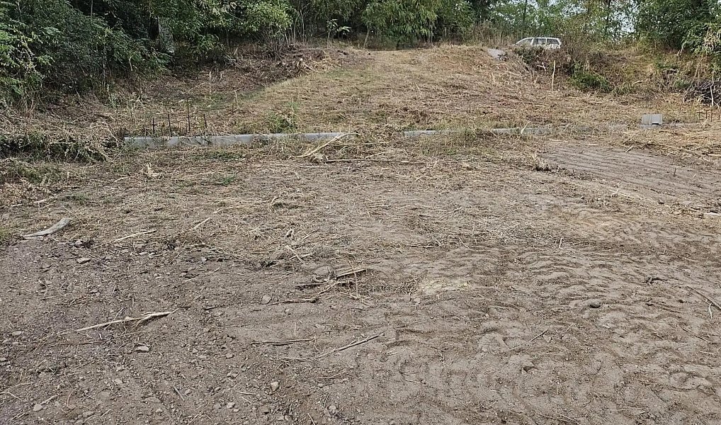 Prodej stavebního pozemku 2 500 m², Nebovidy – náhled fotky 2