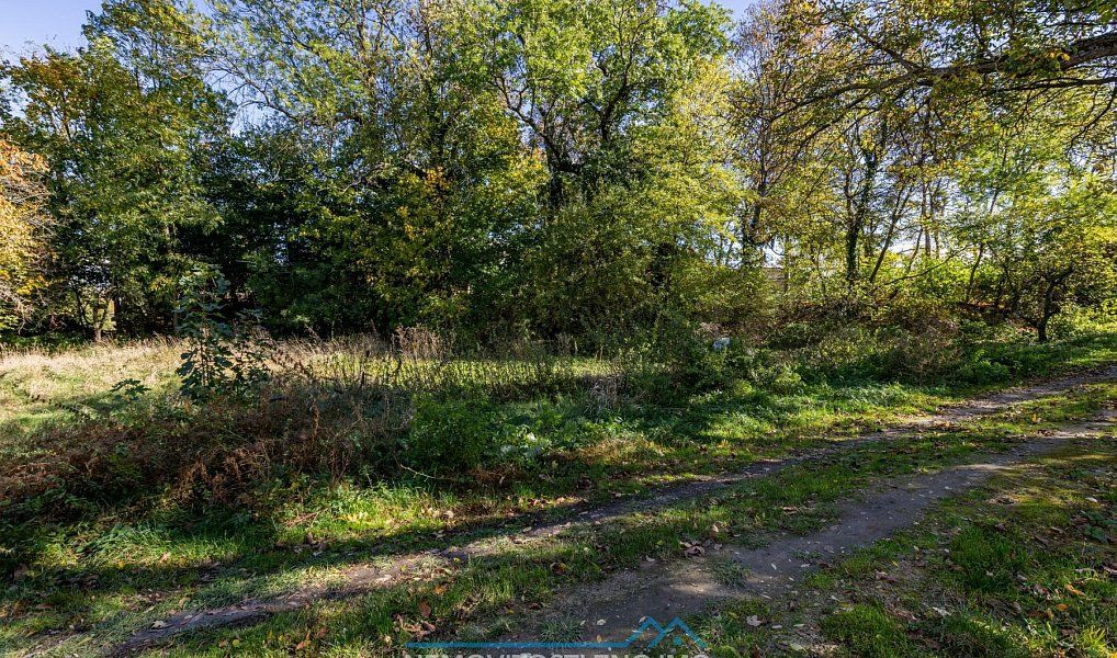 Prodej stavebního pozemku 773 m², Jaroslavice – náhled fotky 8