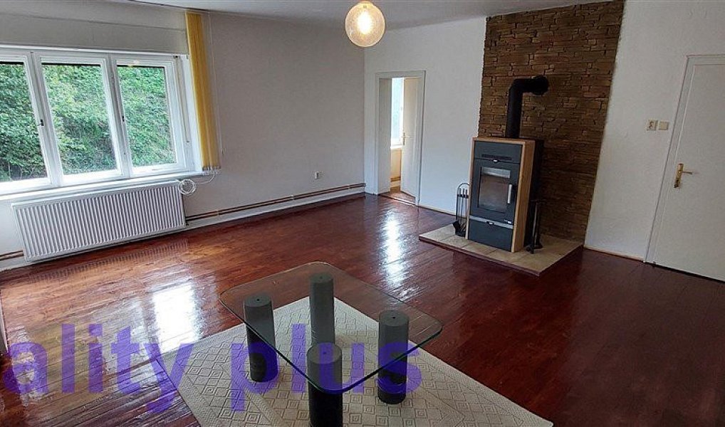 Prodej domu 250 m² s pozemkem 3 692 m², Heřmanice – náhled fotky 13