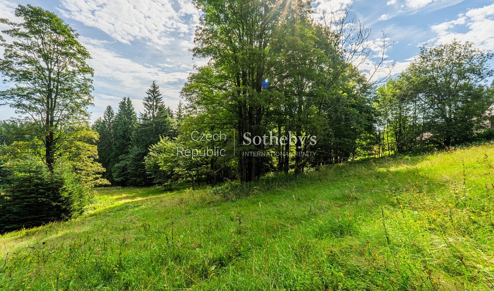 Prodej stavebního pozemku 2 976 m², Janov nad Nisou – náhled fotky 11