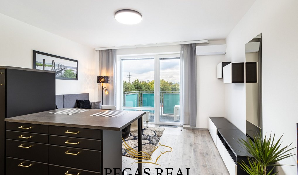 Pronájem bytu 1+kk, 33 m², Černovice - Brno-město, Brno