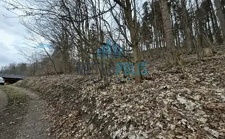 Prodej lesa 1 939 m², Semily