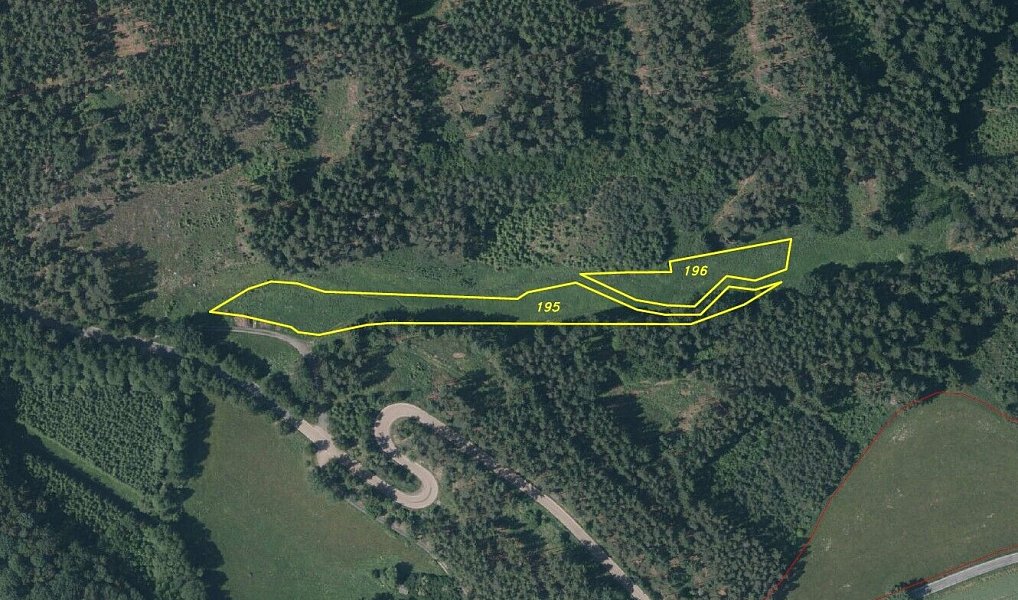 Prodej pole 7 068 m², Krsy – náhled fotky 5