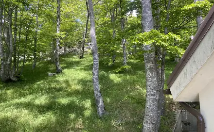 Prodej domu 235 m² s pozemkem 400 m², Čavle, Primorsko-goranska županija, San Marino