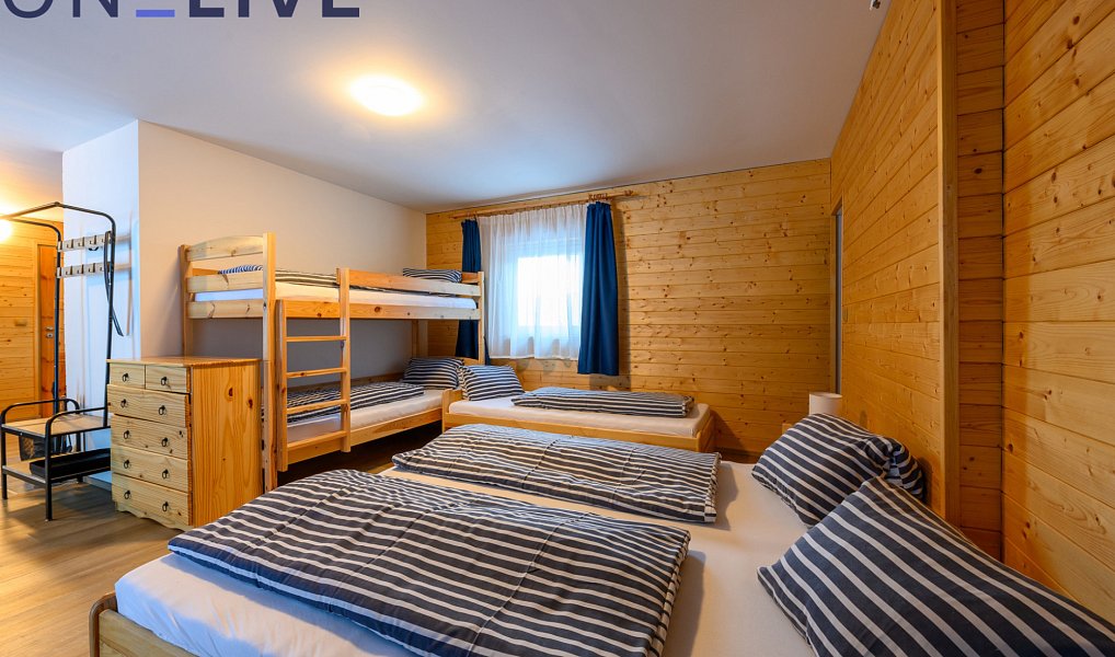 Prodej komerčního objektu (jiného typu) 500 m², Železná Ruda – náhled fotky 23