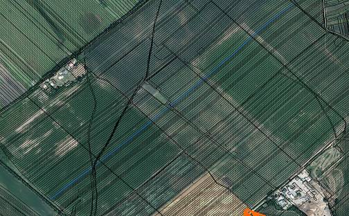 Prodej pole 696 m², Dubňany, okres Hodonín