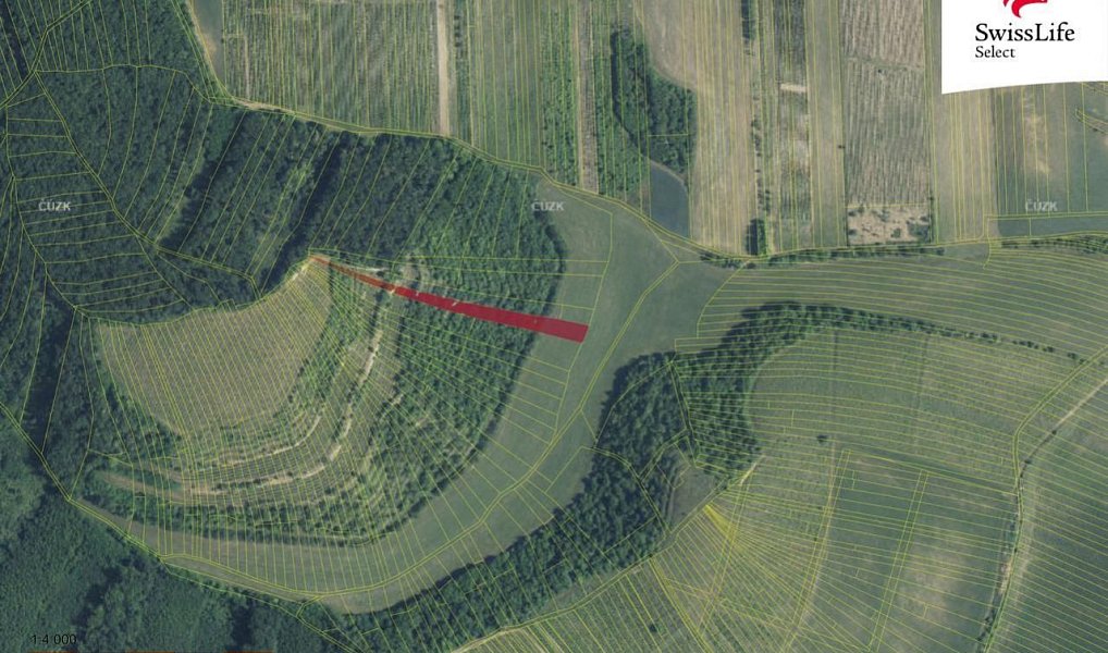Prodej komerčního pozemku 3 394 m², Brumovice – náhled fotky 4