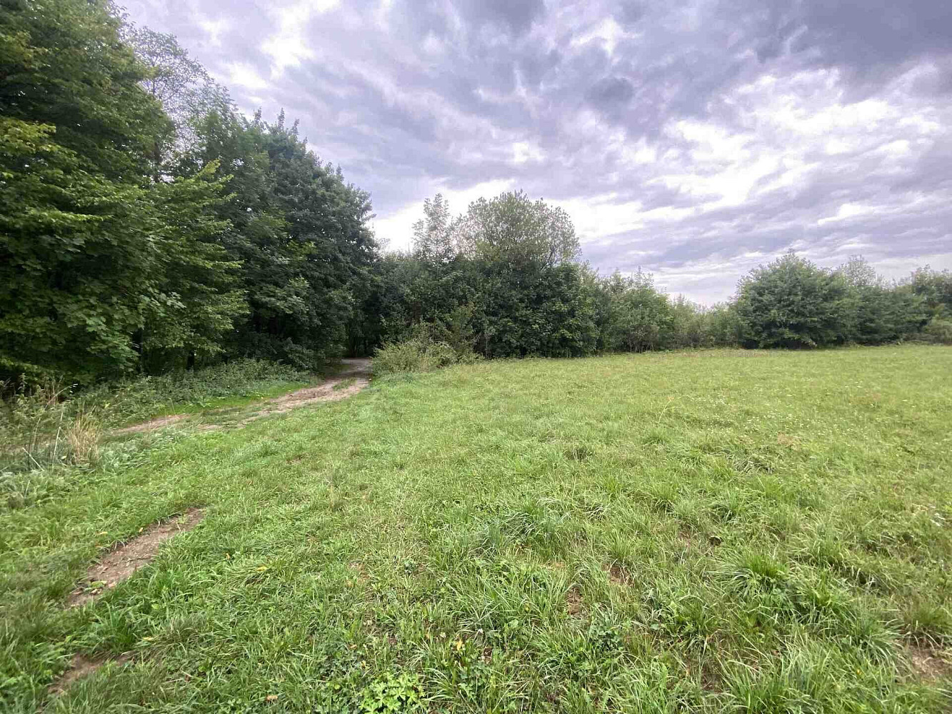 Prodej pole 950 m² – fotografie 2