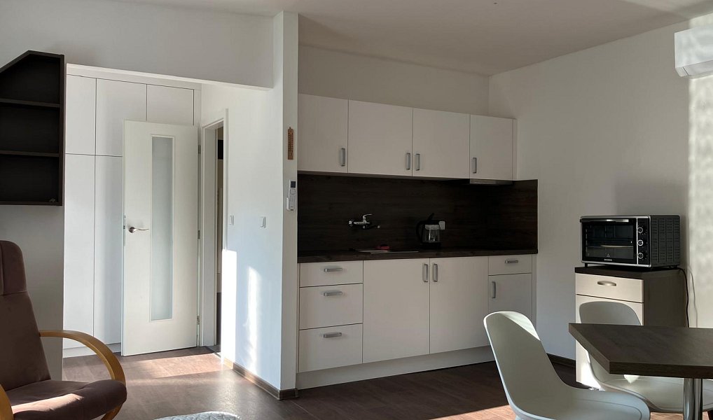 Pronájem domu (jiného typu) 32 m² s pozemkem 65 m², Libčice nad Vltavou – náhled fotky 8