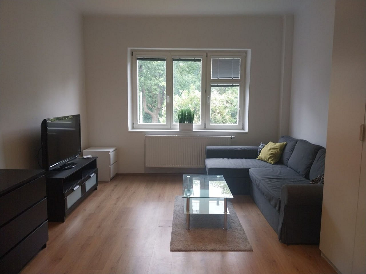 Pronájem bytu 1+1 44 m² — photo 2