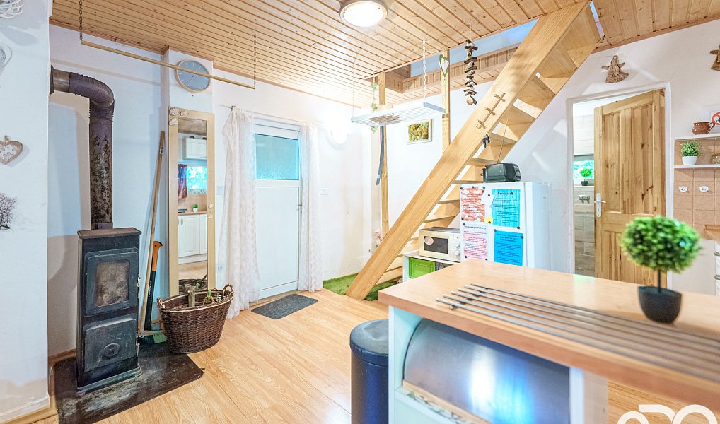 Prodej chaty/chalupy 30 m² s pozemkem 30 m², Ráby – náhled fotky 40