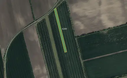 Prodej pole 10 196 m², Lipov, okres Hodonín