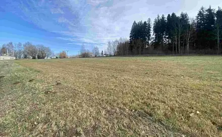 Dražba louky 3 624 m², Černá v Pošumaví