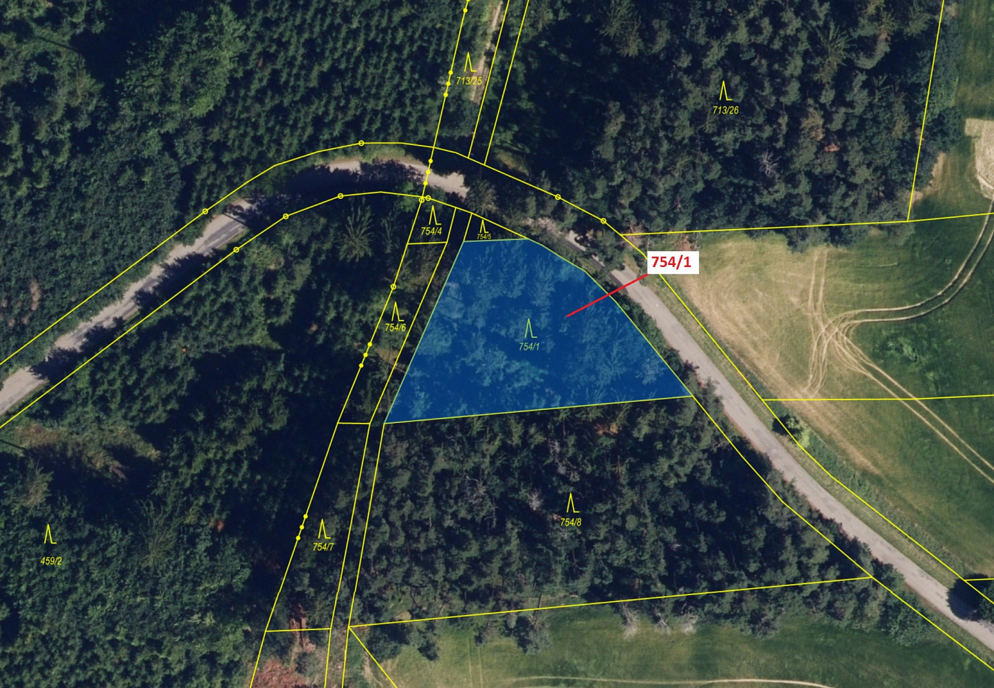 Dražba lesa 1 610 m² — photo 2