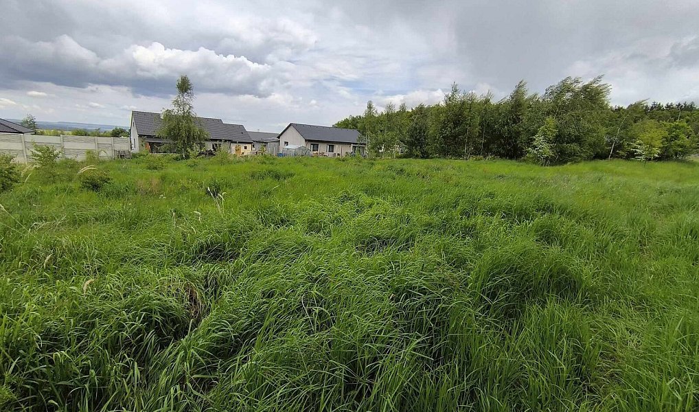 Prodej stavebního pozemku 1 262 m², Zavidov – náhled fotky 4