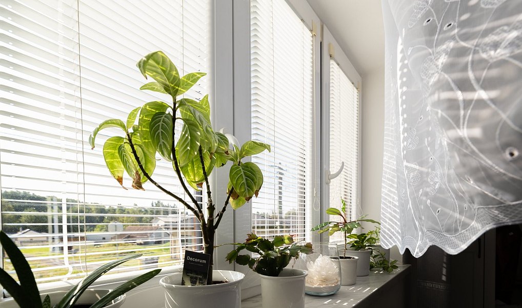 Prodej domu 90 m² s pozemkem 1 071 m², Ostrava – náhled fotky 23