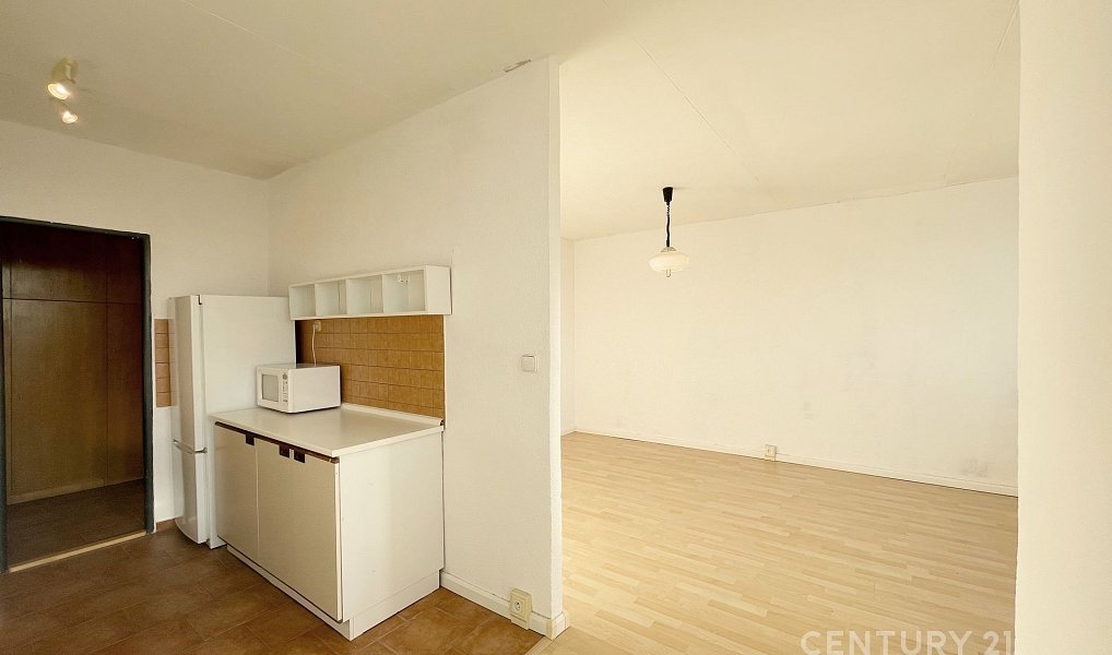 Pronájem bytu 1+1 41 m², Praha – náhled fotky 8
