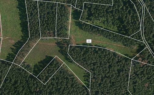 Prodej lesa 22 084 m², Přechovice, okres Strakonice