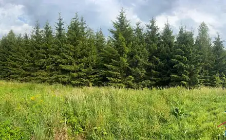 Prodej lesa 15 237 m², Horní, Stařeč, okres Třebíč