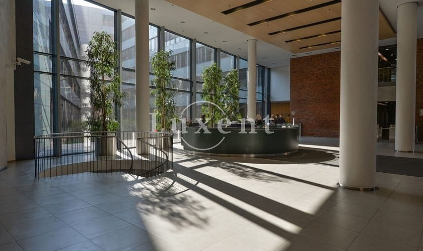Pronájem kanceláře 650 m² – fotografie 4